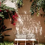 Diogo's Alcantara I By Mycelia 리스본