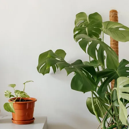 Apartman Diogo's Alcantara I By Mycelia Lisboa