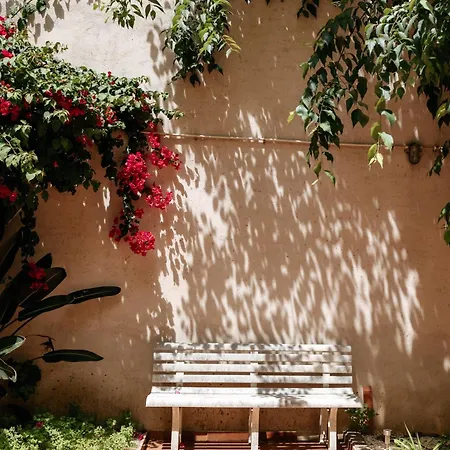 Diogo's Alcantara I By Mycelia Lisboa