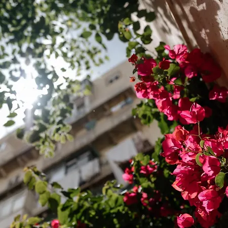 Apartman Diogo's Alcantara I By Mycelia