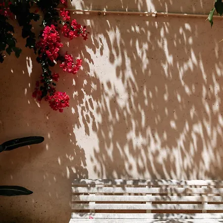 Diogo's Alcantara I By Mycelia Apartman *