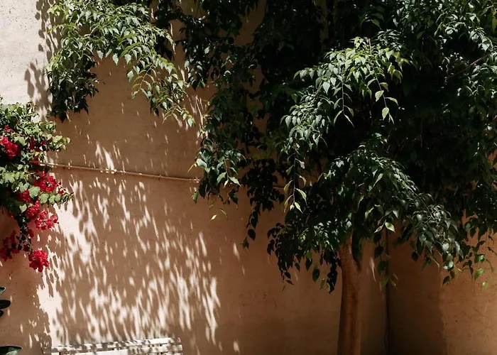 Diogo's Alcantara I By Mycelia Lägenhet