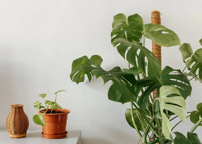 Lägenhet Diogo's Alcantara I By Mycelia Lisboa