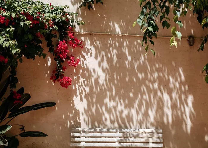 Diogo's Alcantara I By Mycelia Lisboa