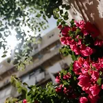 Appartement Diogo's Alcantara I By Mycelia